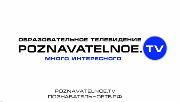 Познавательное ТВ